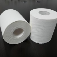 Jumbo roll Toilet Paper with good price