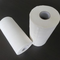 High Quality Kitchen Towel Paper